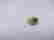item-107790533=3