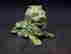 item-111234005=2
