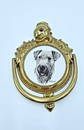 Vintage Airedale Terrier Brass Door Knocker