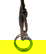 item-206581709=10