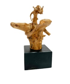Dragon Head Natural Driftwood Formation