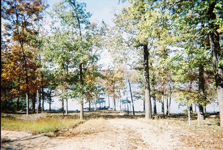 OZARK ACRES LOT NEAR LAKE-UTILITIES,ARKANSAS