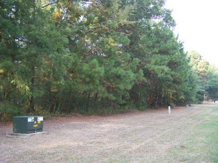 LAKE LIVINGSTON TEXAS AREA, ,UTILITIES, ROADS