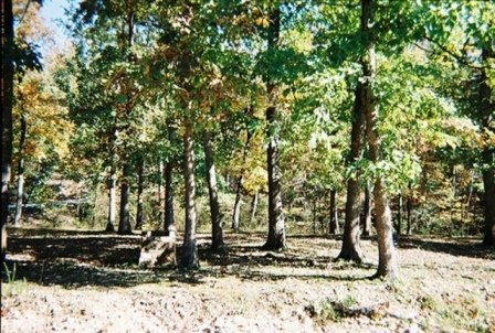 OZARK ACRES LOT NEAR LAKE-UTILITIES,ARKANSAS