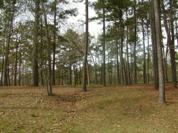 TYLER TEXAS LAKE PALESTINE NICE LOT UTILITIES