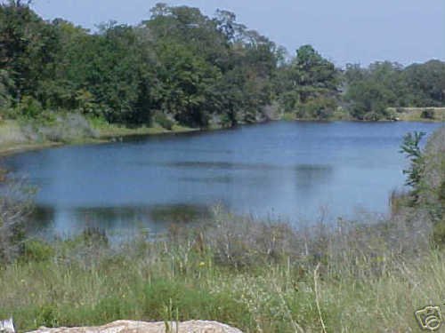 10 LOT AUCTION EASTERN TEXAS AREA LOTS - 2