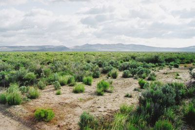 160 ACRES NORTHERN CALIFORNIA,MTN VIEWS,NO RESERVE