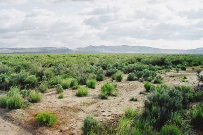 136 AC NORTHERN CALIFORNIA,MTN VIEWS,NO RESERVE