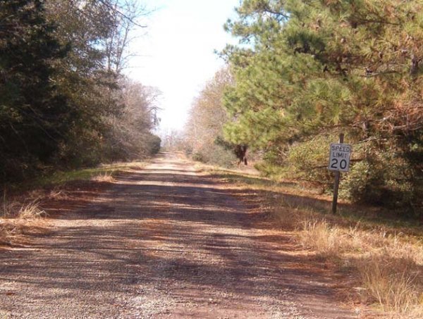 10 LOT AUCTION EASTERN TEXAS AREA LOTS