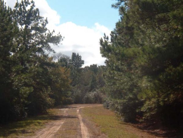 HOUSTON TEXAS AREA,UTILITIES, LOT,NEAR LAKE