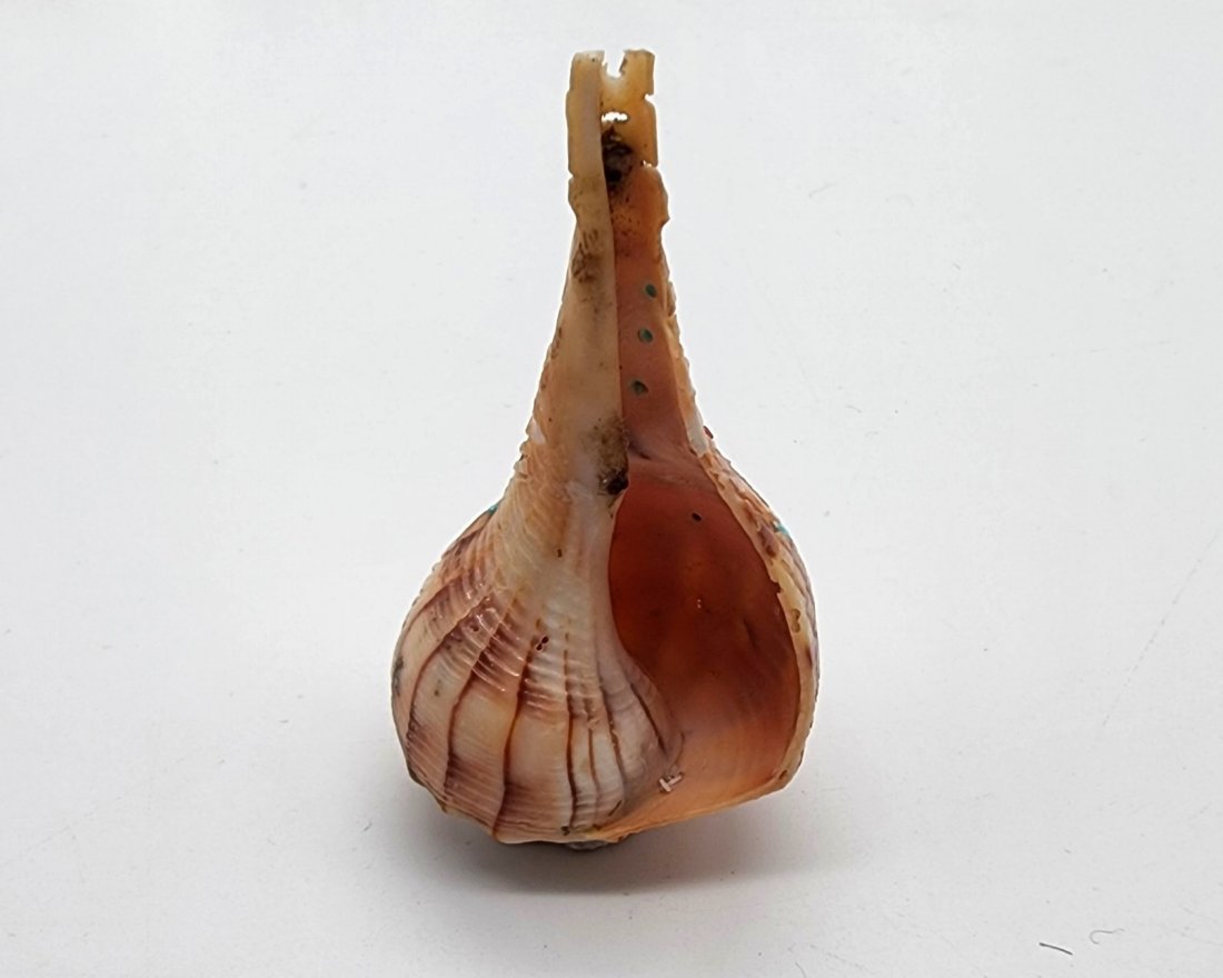 Native Zuni Carved Shell Maiden Fetish By Carl Etsate (1 of 3)