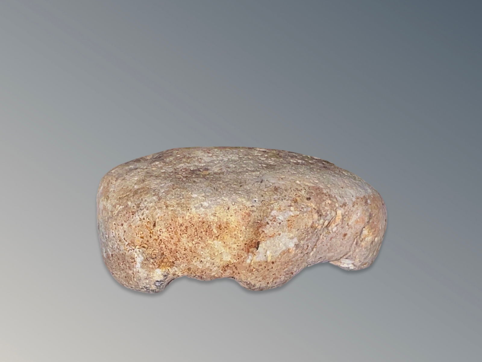 Pre 1900s Native American Bear Fetish (1 of 9)