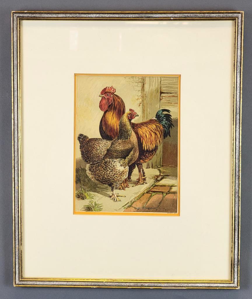 3 Framed Orig 19th C. Poultry Prints, Harrison Weir for Leighton Bros. (1 of 15)