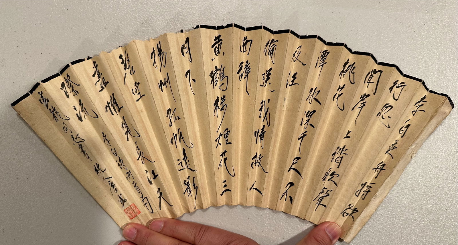 Tang Yun Calligraphy  ZI HE Bamboo Bird   Double Fans (1 of 16)