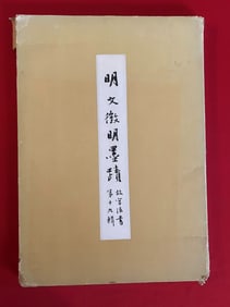 Ming Dynasty WEN ZHENG MING MO JI