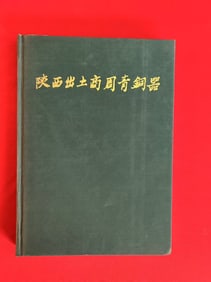 SHAN XI CHU TU SHANG ZHOU QING TONG QI