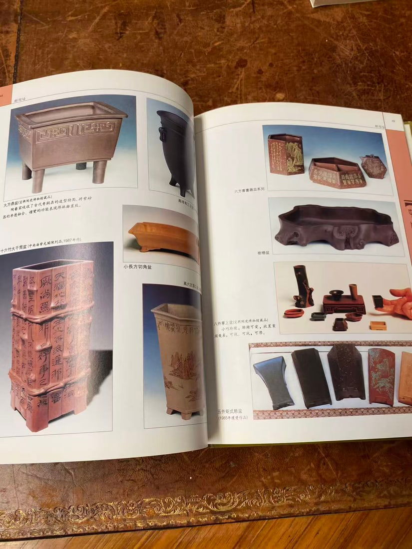 ZHONG GUO ZI SHA PENG YI DA GUAN - 3