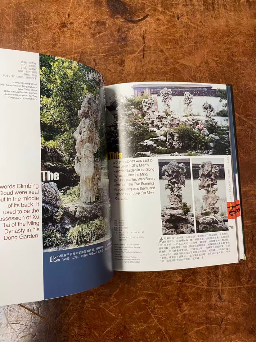 China's Ancient Rare Stone - 2