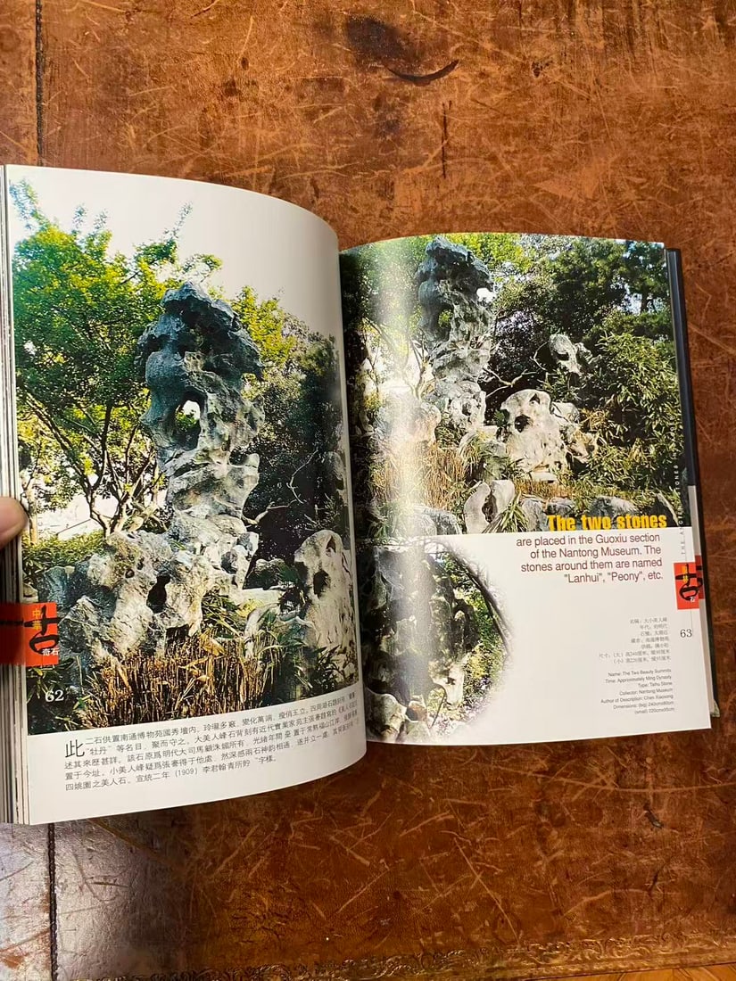 China's Ancient Rare Stone - 3