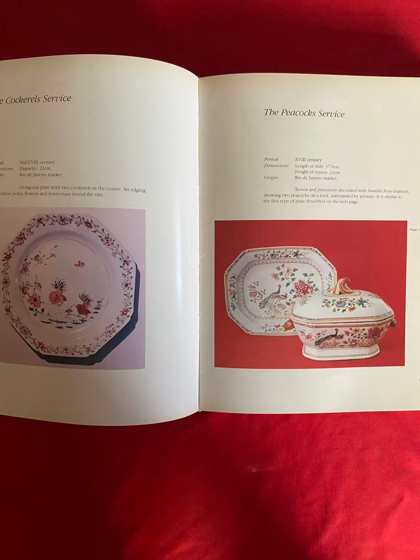 Jorge Getulio Veiga Chinese Export Porcelain ( very heavy) - 3