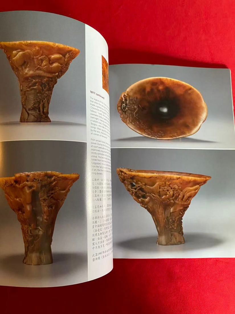 2 Volumes HK Christie's CHINESE RHINOCEROSHORN CARVINGS FROM THE SONGZHUTANG COLLECTION - 3