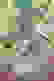 item-102823716=4