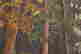 item-131796492=7