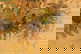 item-205596003=6