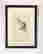 item-133003829=4