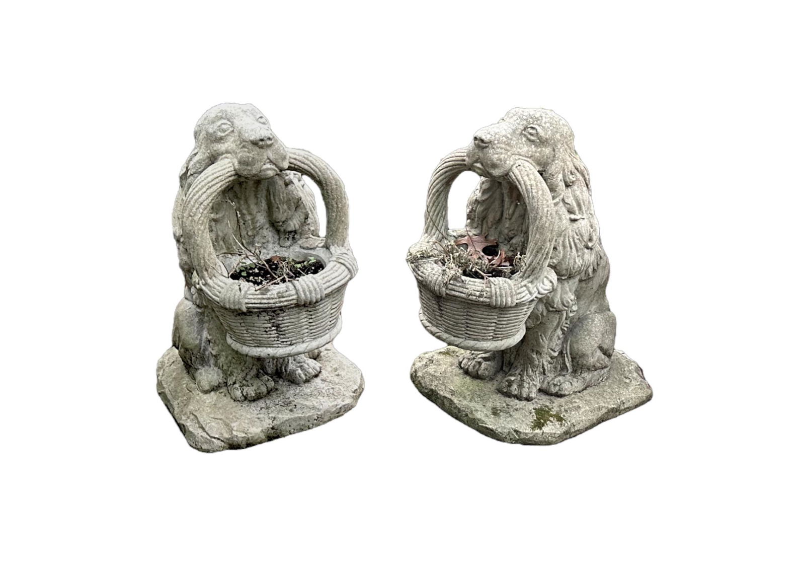 Pair of Concrete English Garden Hounds with Basket (1 of 20)