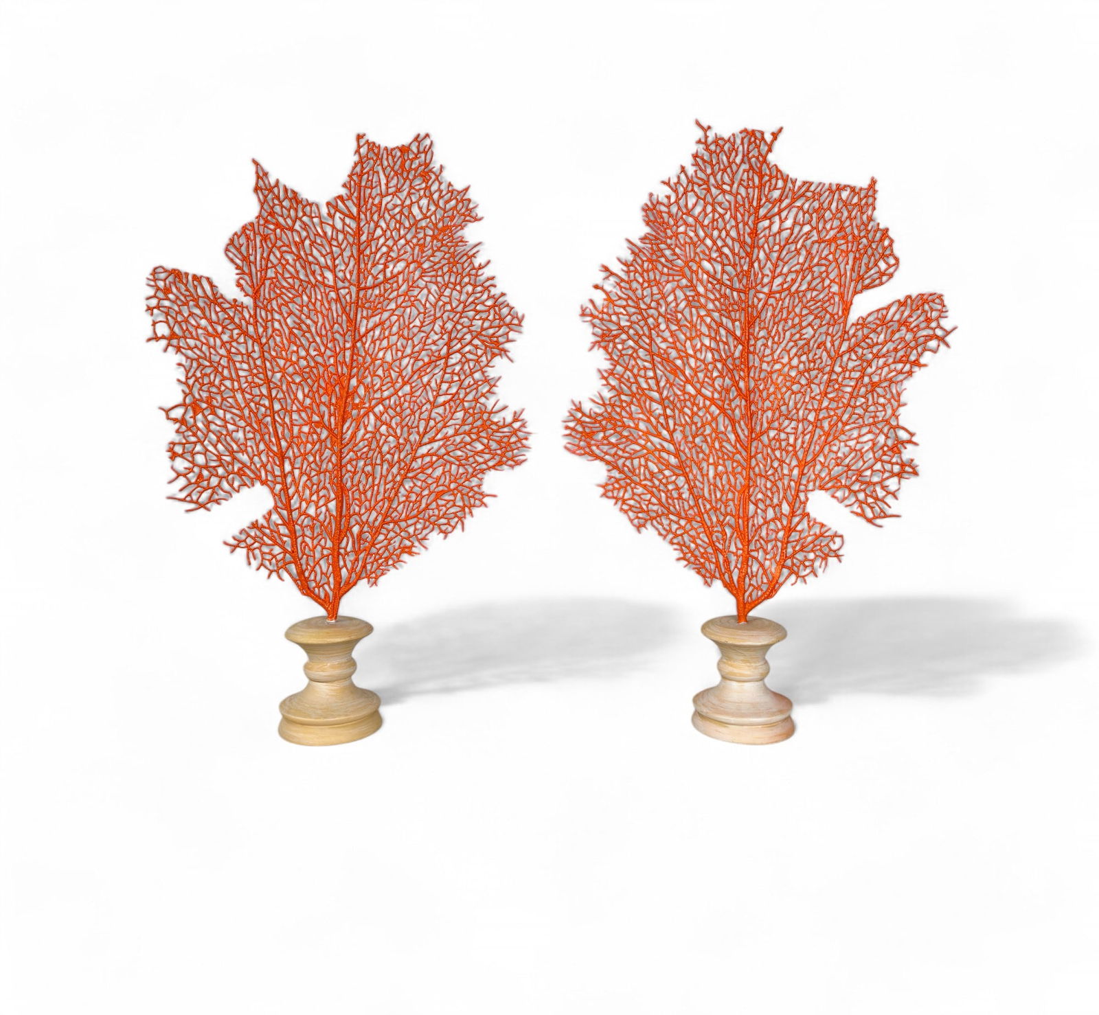 Coral Orange Pair of Sea Fans (1 of 9)