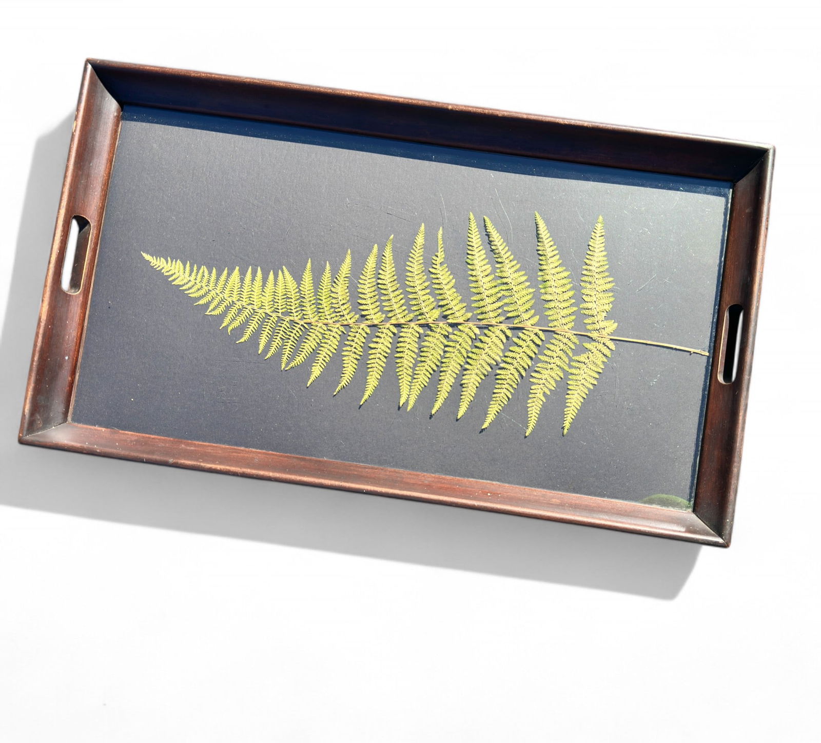 Pressed Fern Leaf in Maple and Glass Tray: Acacian Fern Leaf pressed under glass in Maple Wood tray with handles. Measures 24 3/4" x 14 3/4" D x 2" H