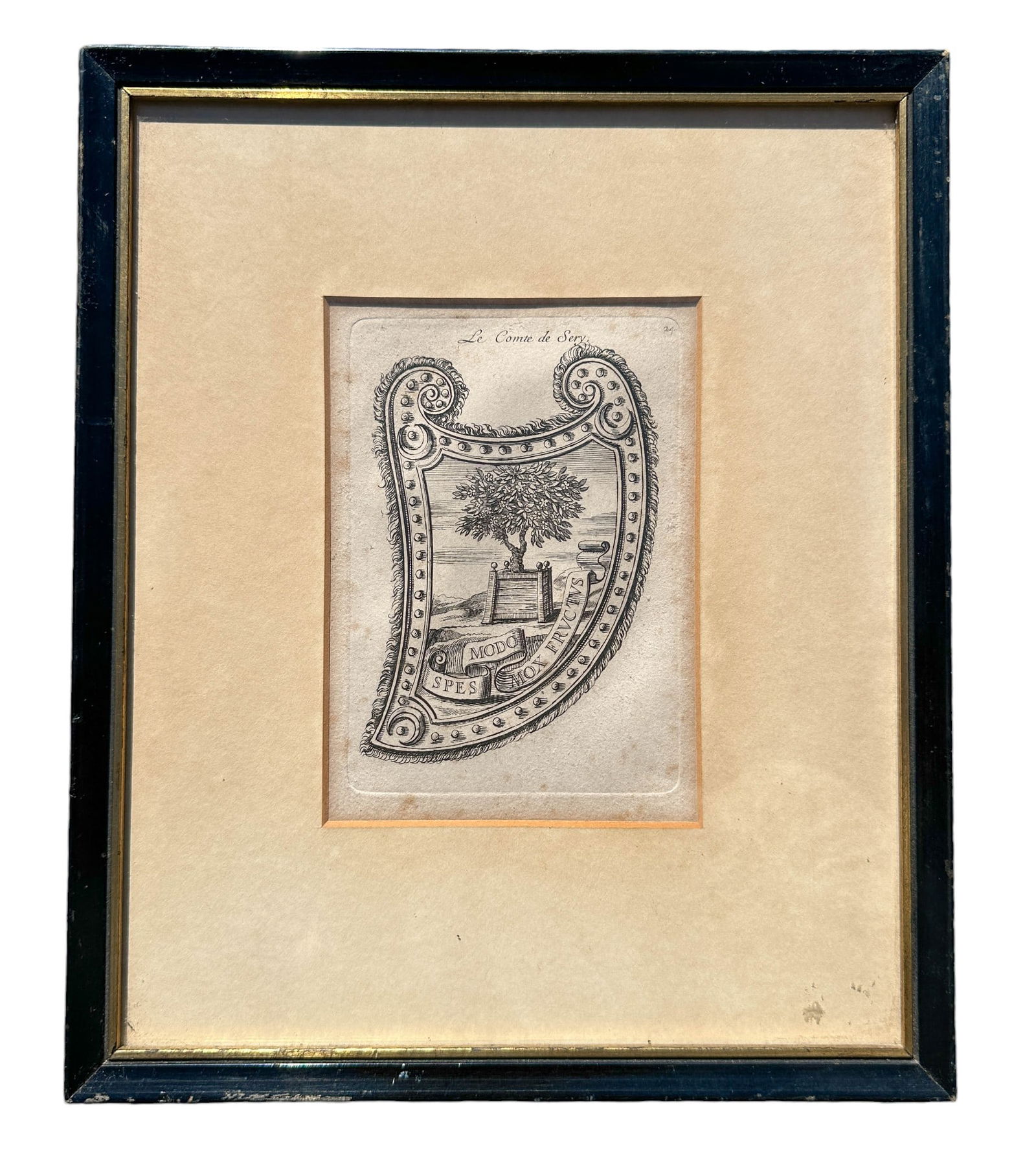 Le Comte de Sery Family Crest, Plate no. 24 Framed (1 of 5)