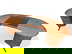 item-208790433=5
