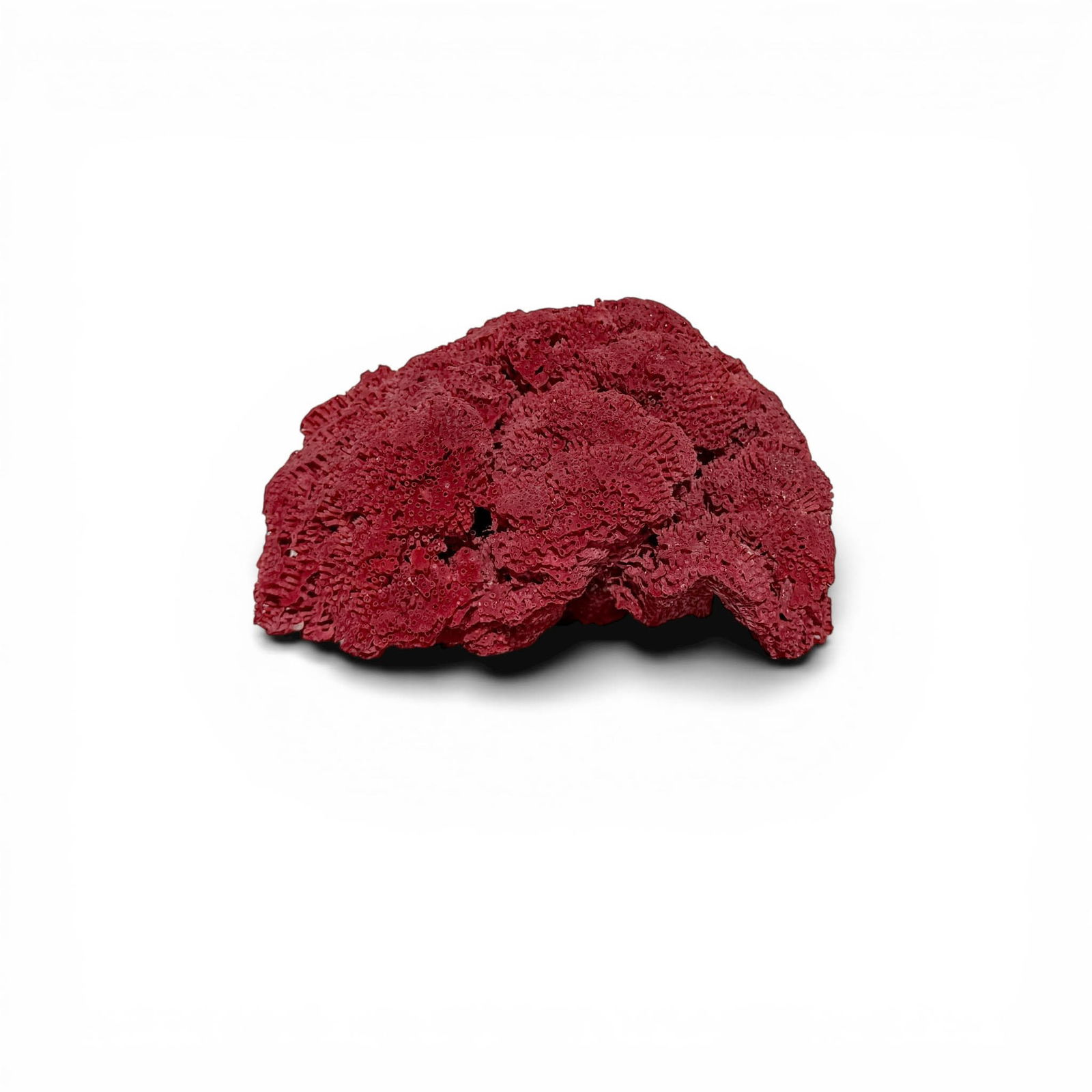 Large Lush Red Sea Coral - 7