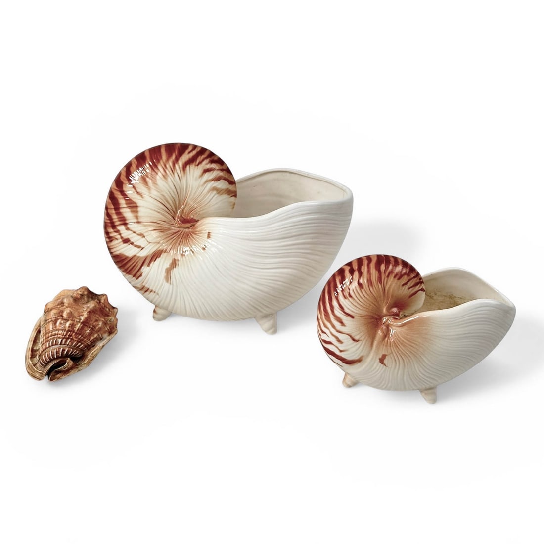 (2) Vintage Fitz and Floyd Ceramic Nautlius Shells: Two Vintage c. 1970's FItz and Floyd footed nautilus shell planters in ceramic. Larger Shell Measures 10 1/2" W x 5 3/5" D x 9 3/4" H Smaller Shell Measures 7" W x 3" D x 5 1/2" H Please refer to the
