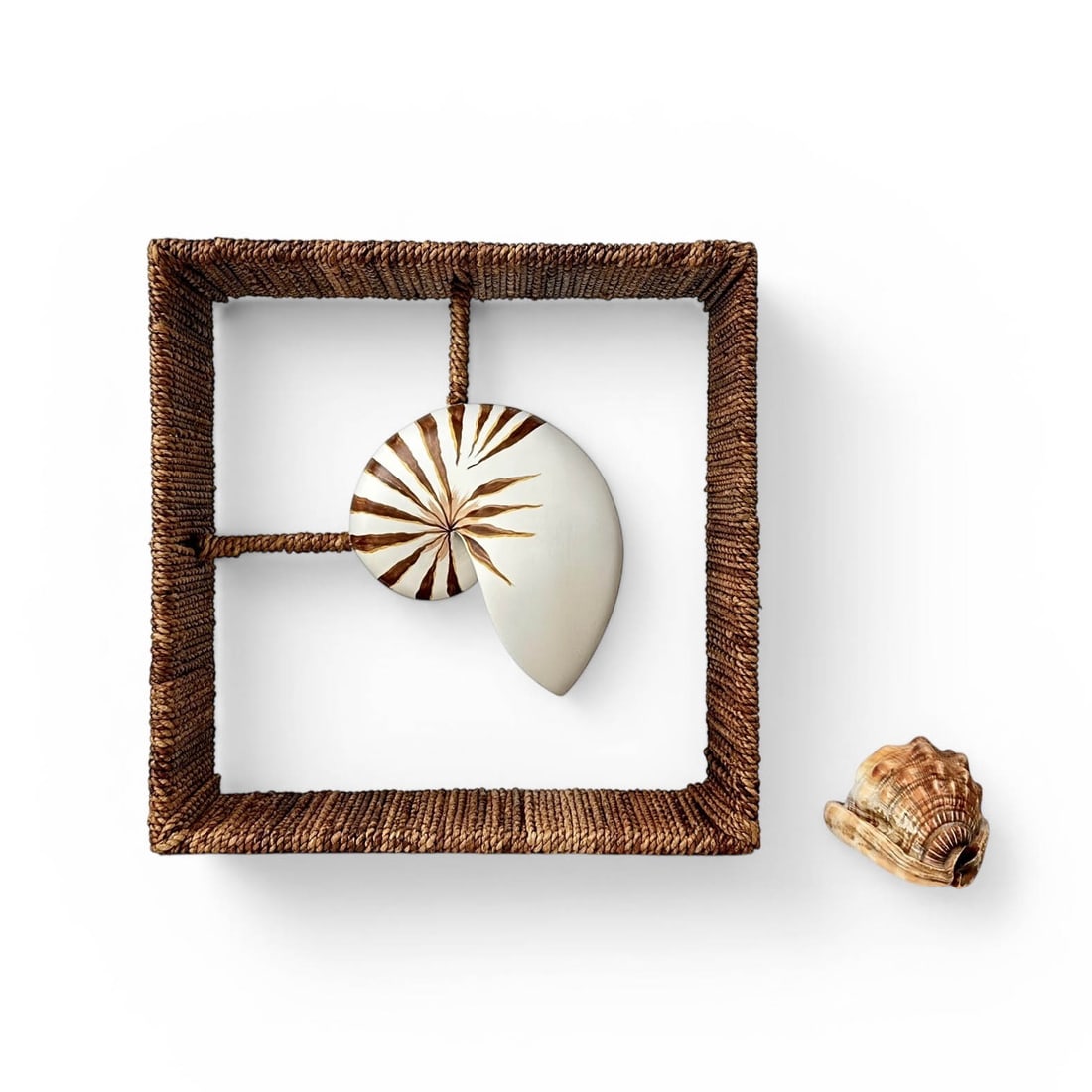 Painted Wood Nautilus Shell in Woven Shadowbox: Hand Painted Wooden Nautilus shell in jute wrapped metal shadowbox. Measures 13" W x 14 1/2" D x 14" H Please refer to the following address for the pick-up location: 2 Quogue Plaza Trail, Quogue, NY