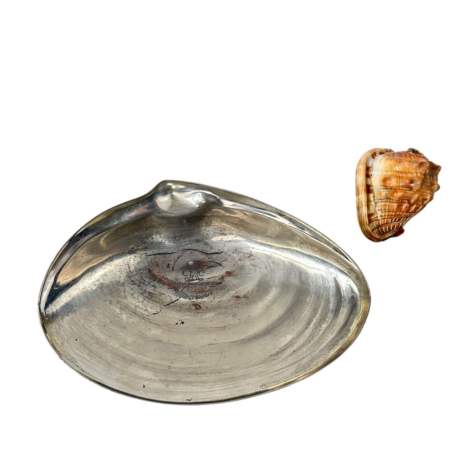 12" 1959 Collegiate Rugby Champoinship Tournament Silver Clam Shell Trophy: Vintage Mid Century Silver Plate Footed Clam Shell Trophy Dish for the 1959 Collegiate Rugby Championship Tournament. Granted to "Harriet Brady". Shell measures 12" W x 8 1/2" x 2 1/2" H Please refer