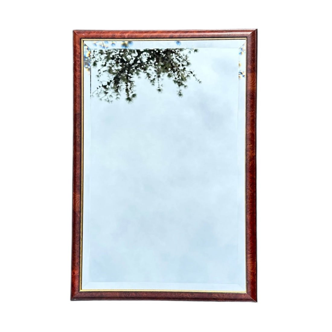 Exceptional Burl Wood Beveled Edge Mirror (1 of 7)