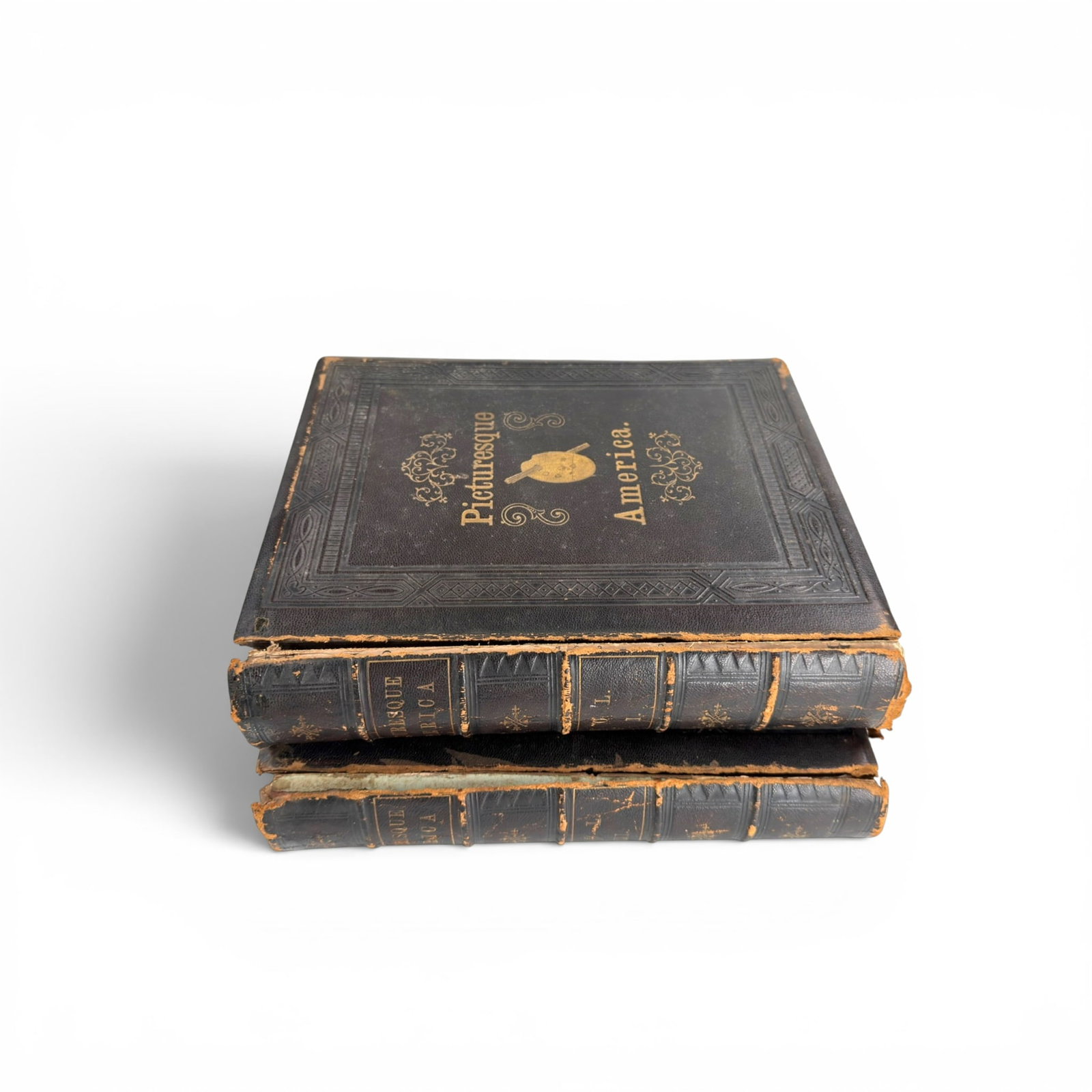 1872 and 1874 PICTURESQUE AMERICA VOLS I and II (1 of 11)