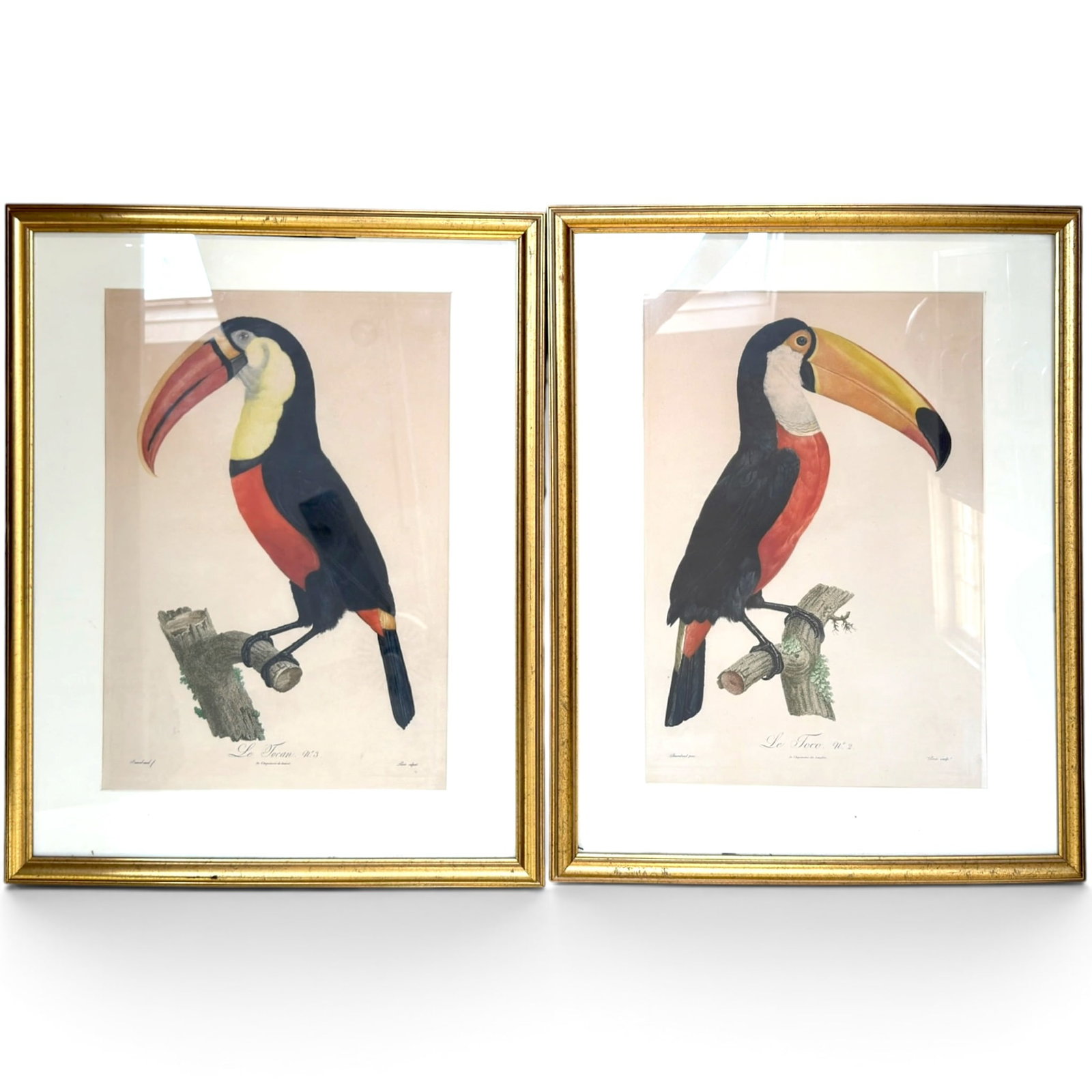 PAIR of TOUCANS AFTER JACQUES BARRABAND (1767-1809) (1 of 15)