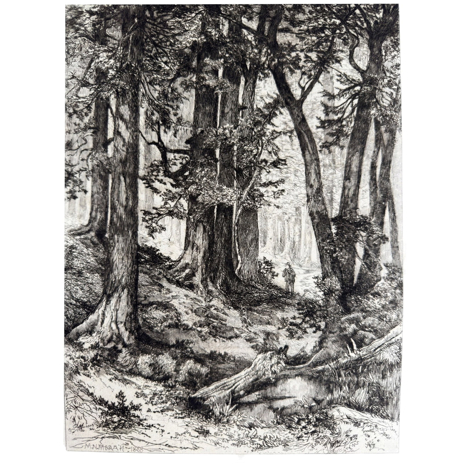 MARY NIMMO MORAN (1842-1899) California Forest Interior (1 of 5)