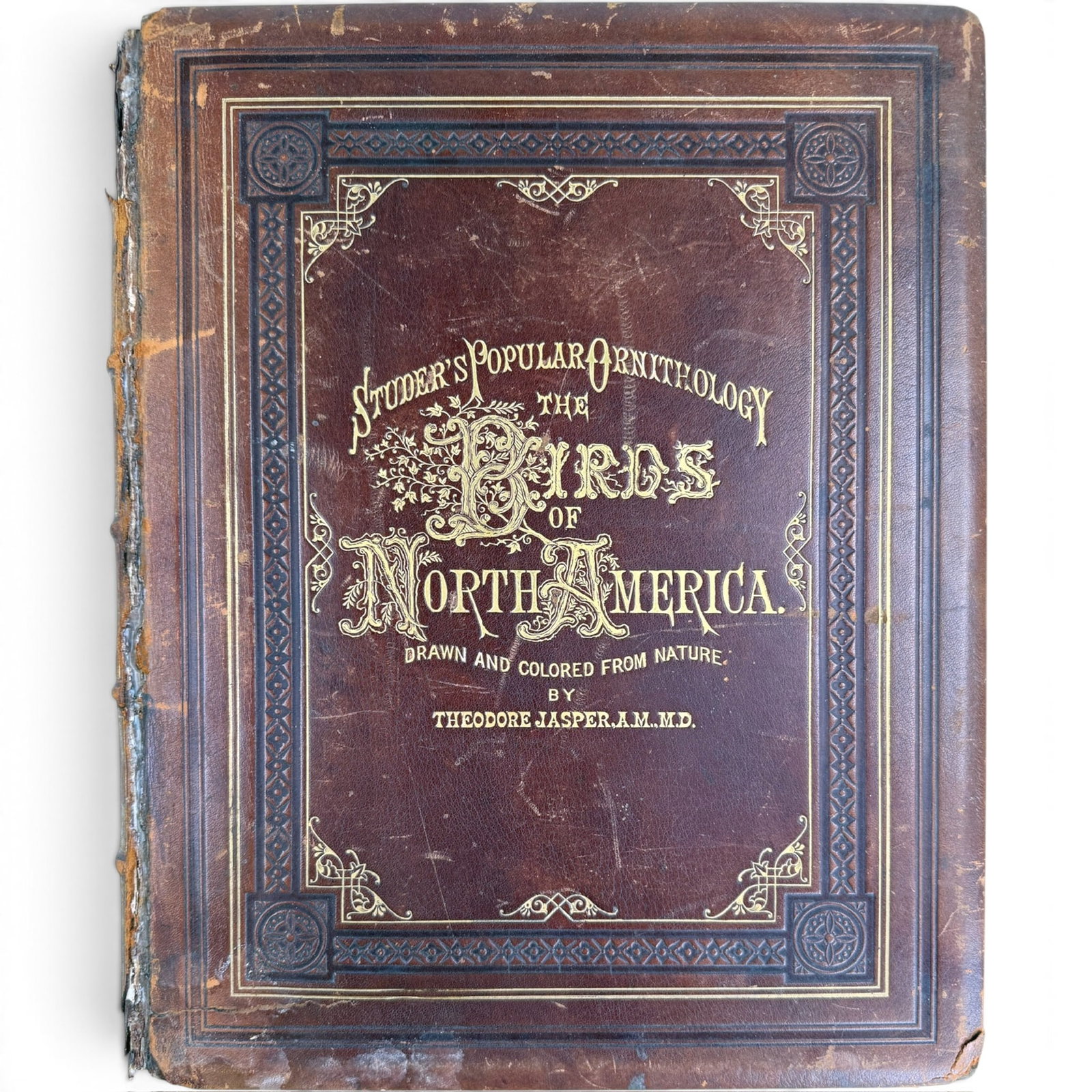 1881 STUDER'S POPULAR ORNITHOLOGY: The Birds of North America. Drawn and Colored from Nature by Theodore Jasper, A.M.M.D. Montreal, Canada, Arthur J. Cleveland & Co. Hardcover leather bound 15 x 12 x 2 inches