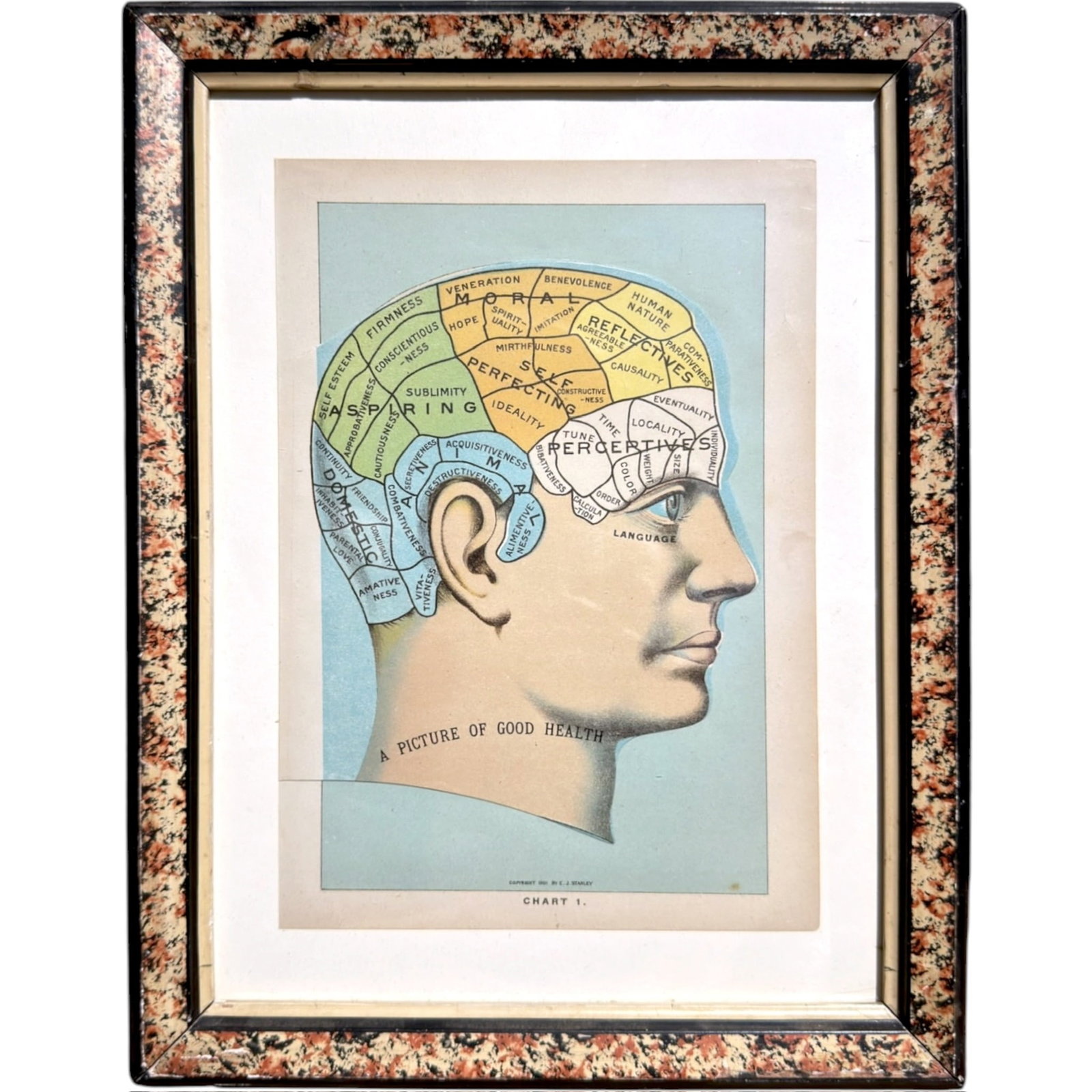Framed 1901 CHROMOLITHOGRAPH – PHRENOLOGY – CHART 1 (1 of 3)