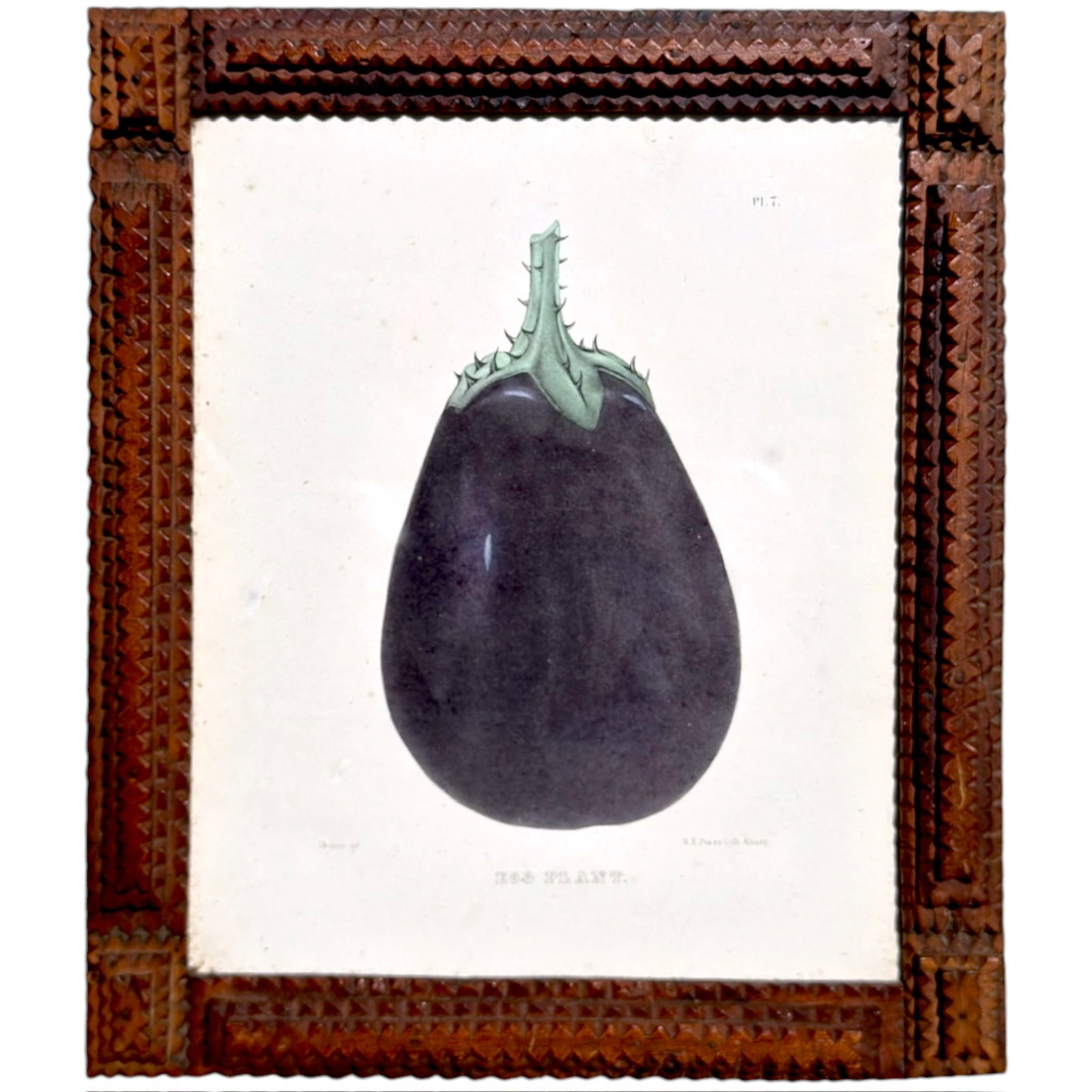 1849 LITHOGRAPH of an EGGPLANT in a TRAMP ART FRAME: Hand colored 10 x 8.5 inches framed 12.25 x 10.5 inches (overall)