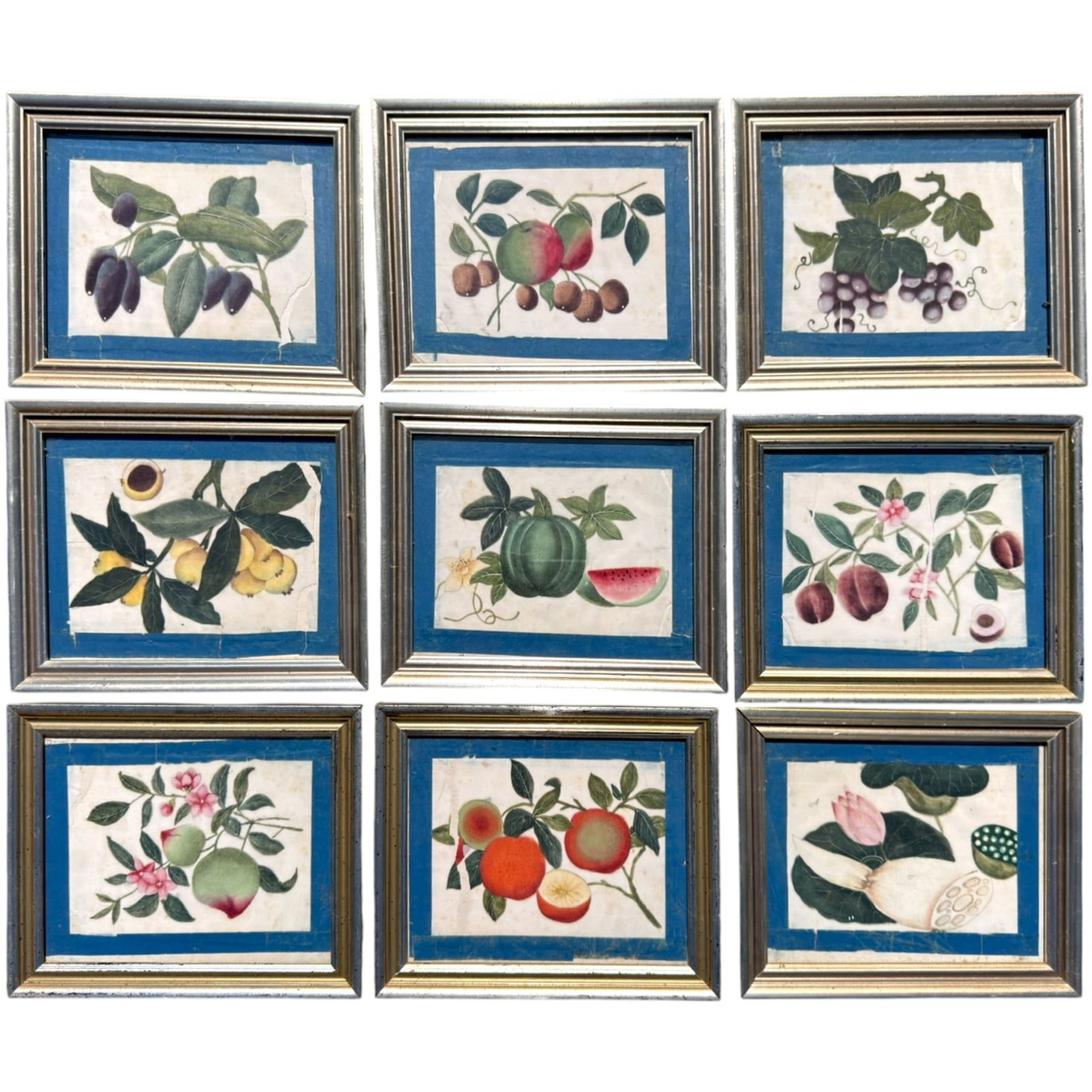 SUITE of NINE (19th c) CHINESE WATERCOLORS of FRUIT: On pith paper. 6 x 4.25 inches framed 7 x 8.5 inches (each overall)
