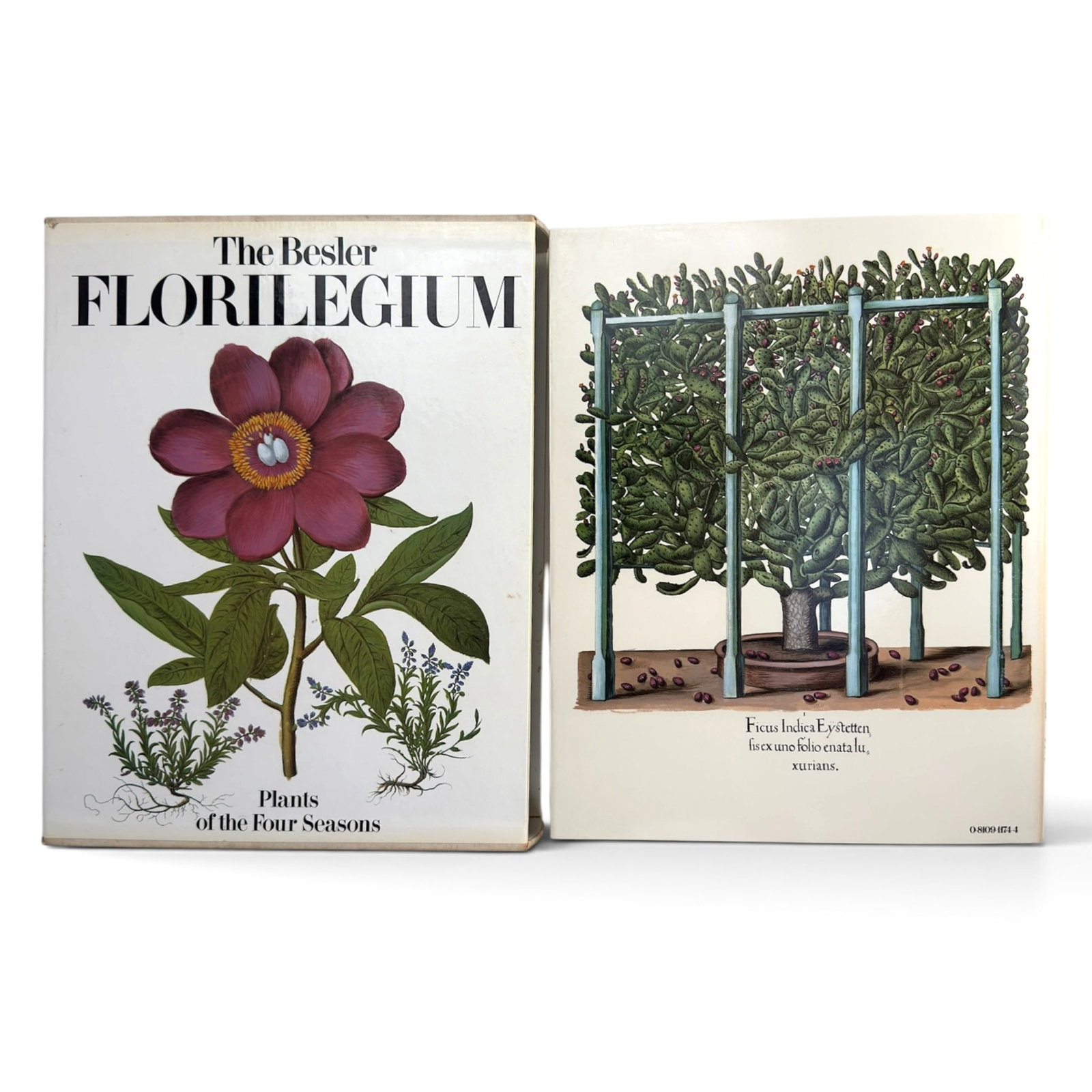 THE BESLER FLORILEGIUM PUBLISHED in 1989: Plants of the Four Seasons. New York, Harry Abrams, Inc. Italy Times Mirror Co.Translated from the French by Eileen Finletter with commentarie on the plates by Gerard G. Aymonin. Hardcover clothbound 