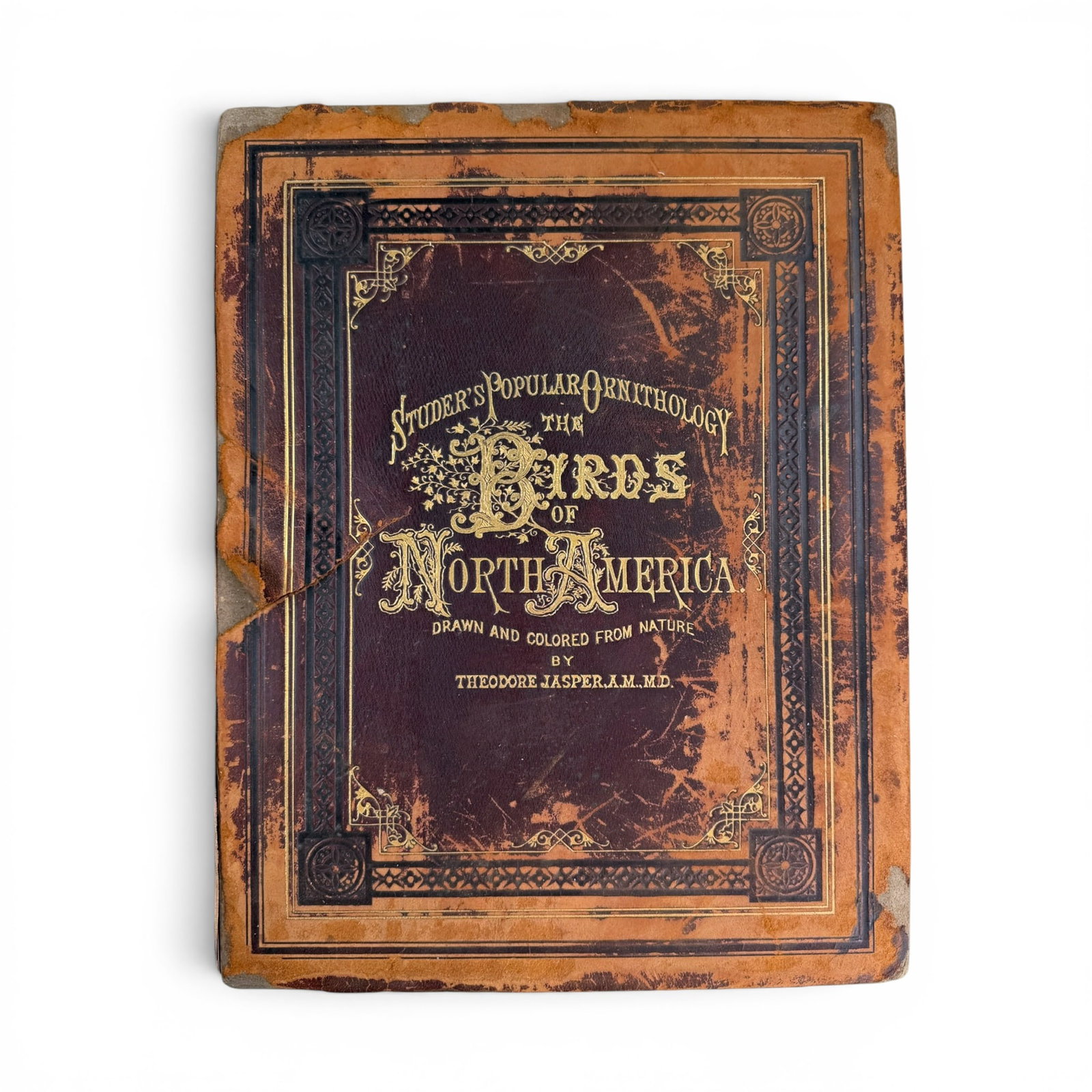 1881 STUDER'S POPULAR ORNITHOLOGY: The Birds of North America. Drawn and Colored from Nature by Theodore Jasper, A.M.M.D. Montreal, Canada, Arthur J. Cleveland & Co. Hardcover leather bound 15 x 12 x 2 inches