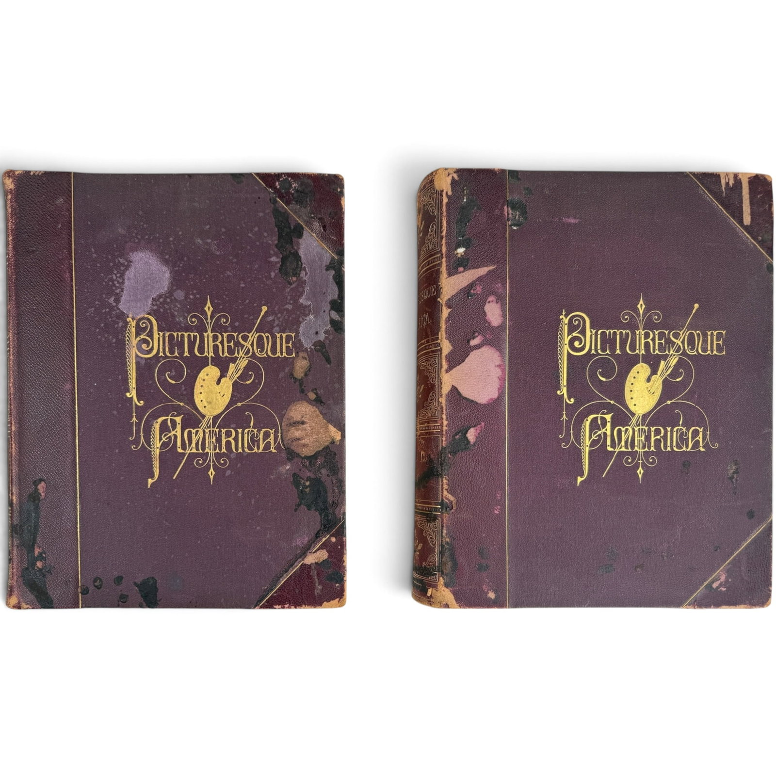 1872 and 1874 PICTURESQUE AMERICA VOL I and II (1 of 16)