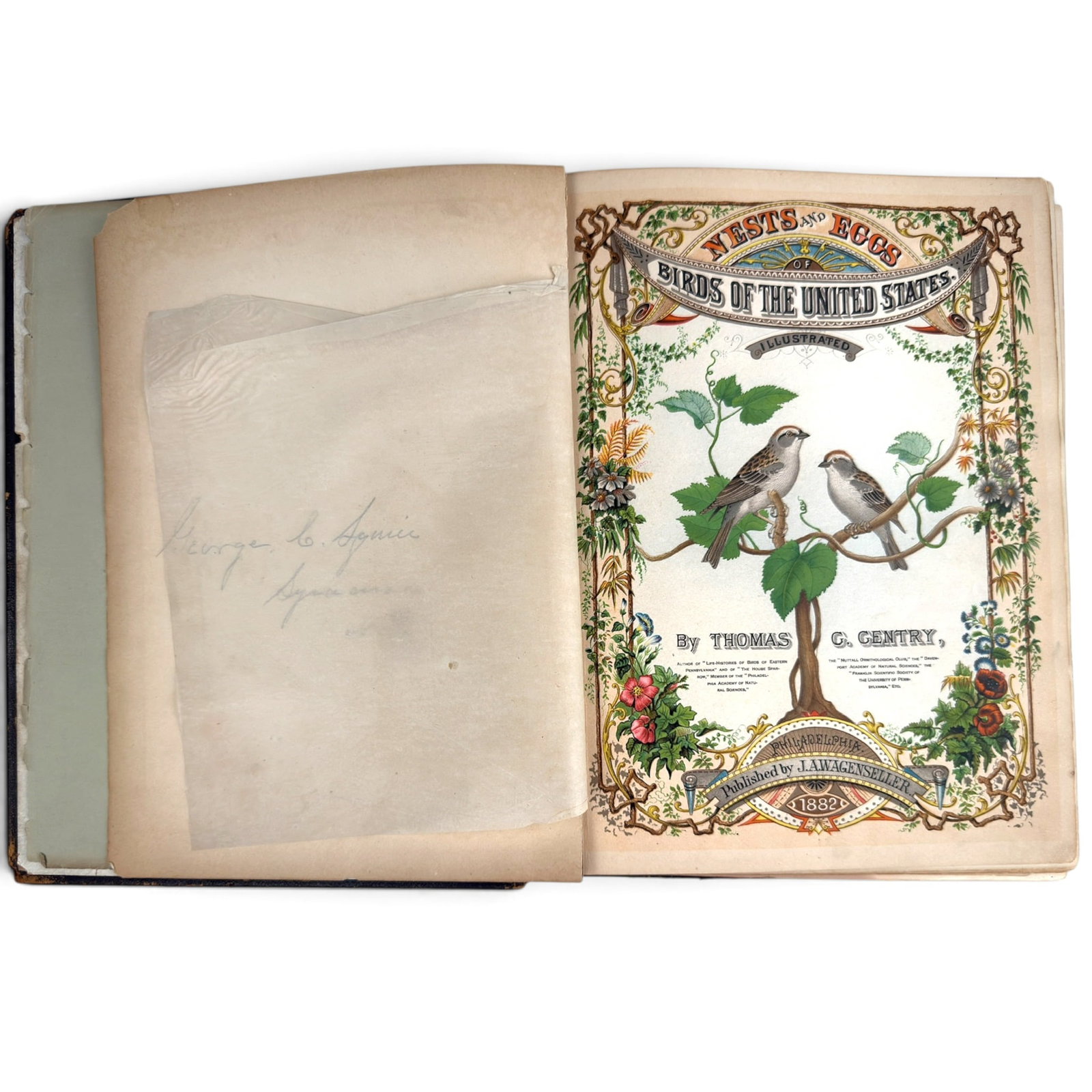 1882 NESTS & EGGS – BIRDS of the UNITED STATES: By Thomas G, Gentry. Philadelphia, J. A. Wagenseller. Hardcover with embossed leather. 12 x 9.5 x .75 inches
